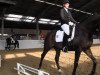 dressage horse Skyfall 11 (Oldenburg, 2010, from Sir Donnerhall I)