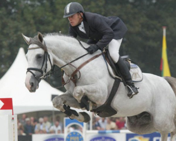 stallion Caballero 80 (Westphalian, 2000, from Champion du Lys)