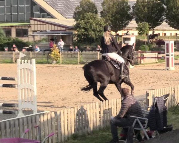 Reitturnier Schülp / Rendsburg 2020