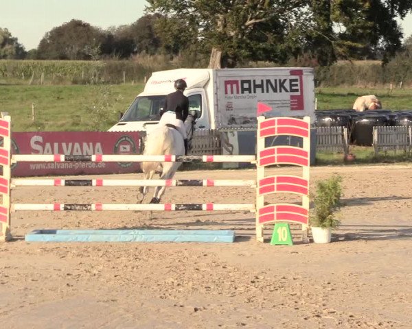 Reitturnier Schülp / Rendsburg 2020