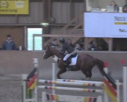 jumper Canice 4 (Hanoverian, 2007, from Carenzo)