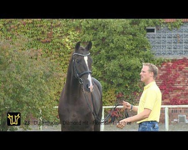 stallion Demetrios (Rhinelander, 2012, from Diamond Hit)