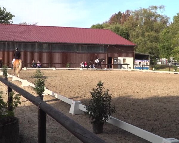 Reitturnier Marienheide-Kempershöhe 2020