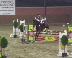 jumper Frozen Diamond (Irish Sport Horse, 2004)