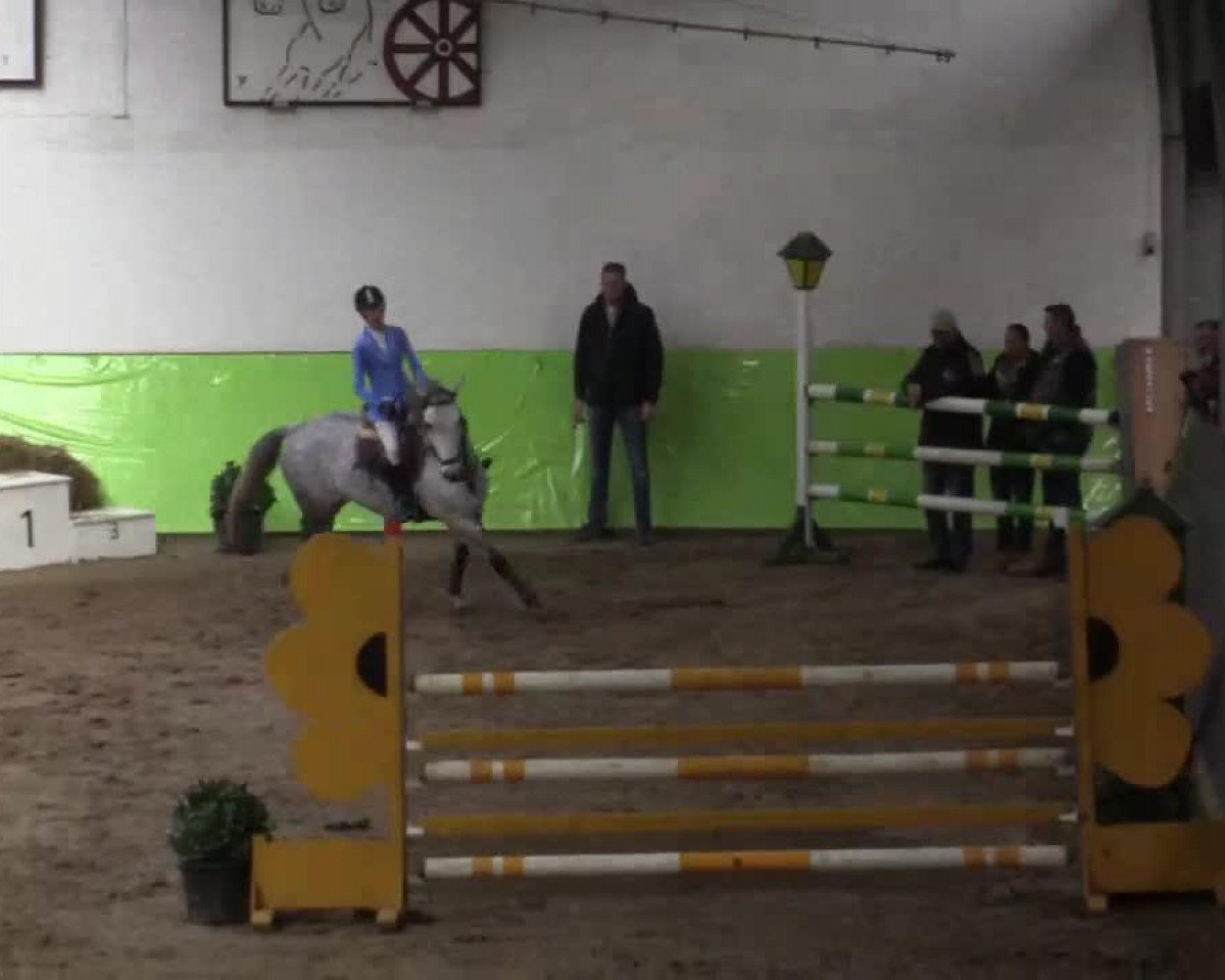 Springpferd Lucky Luke 433 (Polnisches Pony, 2007, von Olivin Bosko)
