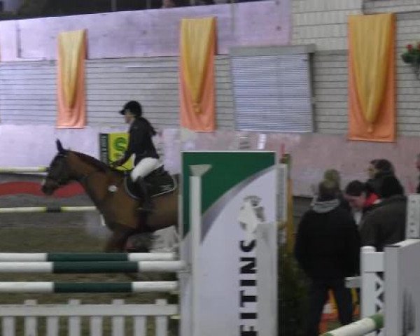 jumper Rihanna Gold (Zweibrücken, 2005)