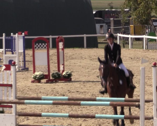 Reitturnier Bad Schmiedeberg 2020