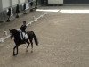 dressage horse Bentley (Rhinelander, 2008, from Biasini)