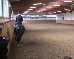 dressage horse Ulan Raevdal (Oldenburg, 1999)