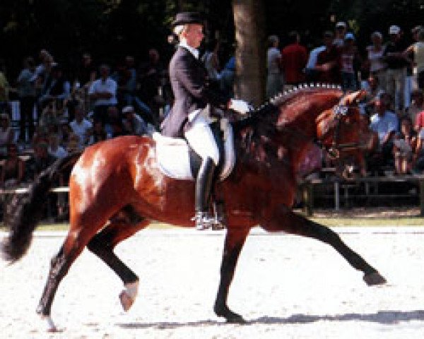 stallion Ruben As (Thuringia, 2000, from Rohdiamant)