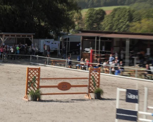 Reitturnier Nesselröden 2020