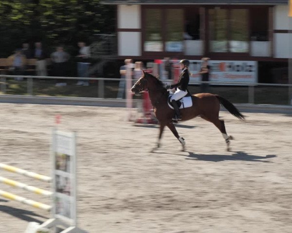 Reitturnier Nesselröden 2020