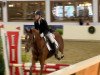 dressage horse C'est Courage (German Riding Pony, 2003, from Courage)