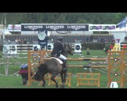 jumper Handor van T Roosakker (Belgian Warmblood, 2007, from Wandor van de Mispelaere D'10)