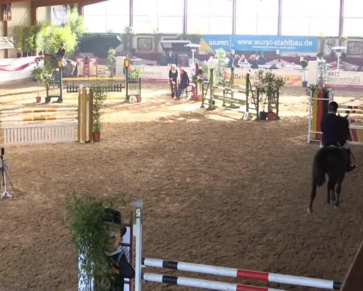 jumper Eros Karlos (KWPN (Royal Dutch Sporthorse), 2009, from Namelus R)