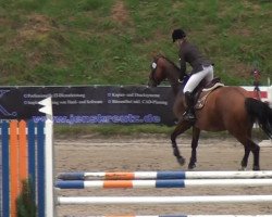 broodmare Pelea 4 (Trakehner, 2008, from Donauzar)