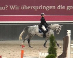 jumper Casino Royal 30 (Hanoverian, 2009, from Cassus 2)