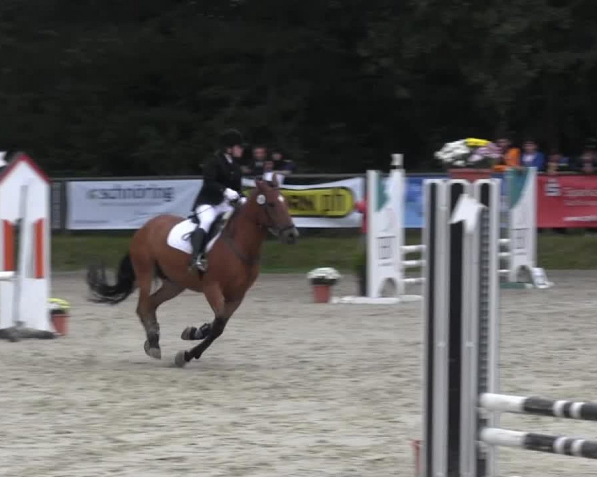 jumper Diego (unknown,  )