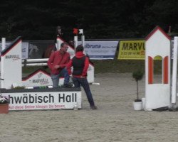 Springpferd Merano 182 (Polnisches Warmblut, 2004, von Endemit)