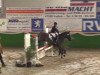 dressage horse Filou (Dt.Part-bred Shetland pony, 1993, from Isarons Fernando)