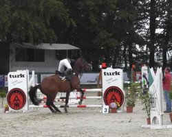 Pferd Humano (Belgisches Warmblut, 2007, von Sir Lui)