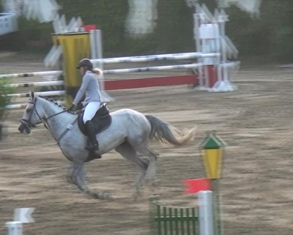 broodmare Dioba (KWPN (Royal Dutch Sporthorse), 2008, from Caspar (Berlin))