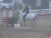 jumper Denver 230 (KWPN (Royal Dutch Sporthorse), 2008, from Corland)