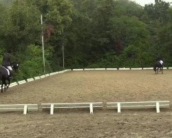 dressage horse Raya (Trakehner, 2009, from Krokant)