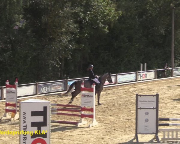 Reitturnier Uder, Reitanlage Kobold 2020