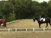 dressage horse Smartie HEK (Rhinelander, 2009, from Schumacher)