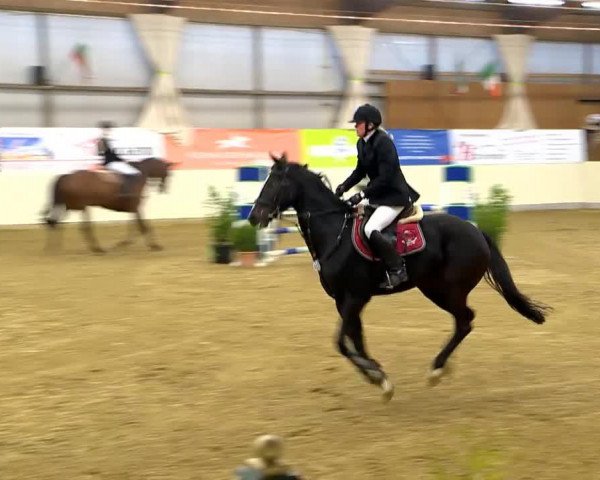 jumper Check in first (Oldenburg, 2008, from Check In 2)