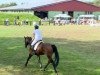 broodmare Corleska (Oldenburg show jumper, 2009, from Contendro I)