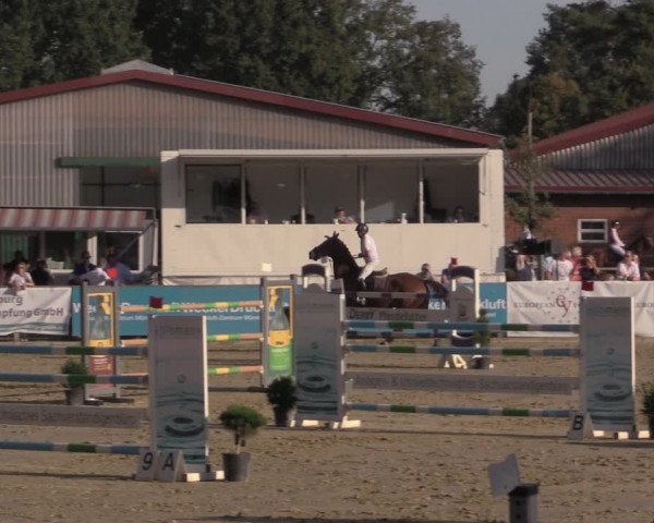 Reitturnier Albersloh 2020