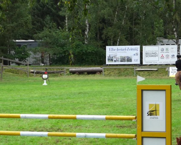 Dannenberger Reitertage 2021