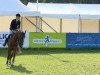 broodmare Centalouette (Oldenburg show jumper, 2008, from Centadel)