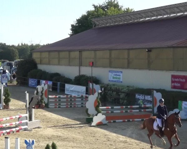Reitturnier Kirchhellen/Stall Dieckmann 2020