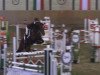 jumper Luise de Finesse (German Sport Horse, 2010, from Levistano)