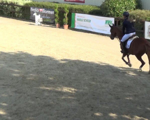 Reitturnier Kirchhellen/Stall Dieckmann 2020
