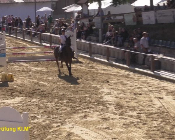 Reitturnier Uder, Reitanlage Kobold 2020