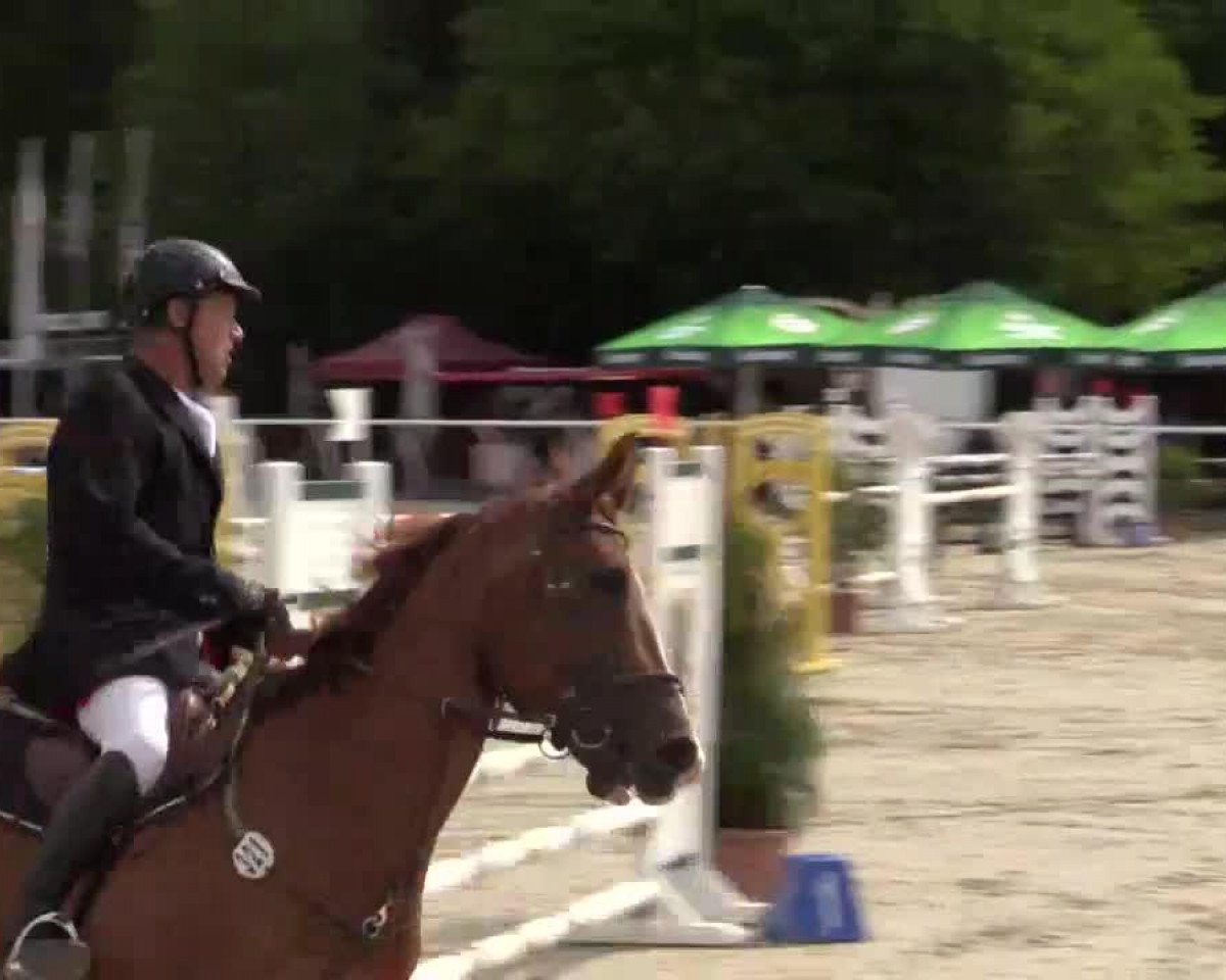 dressage horse Finez van de Evexhoeve (Belgian Warmblood, 2005, from Fiderhit)