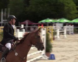 Dressurpferd Finez van de Evexhoeve (Belgisches Warmblut, 2005, von Fiderhit)