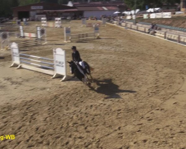 Reitturnier Uder, Reitanlage Kobold 2020
