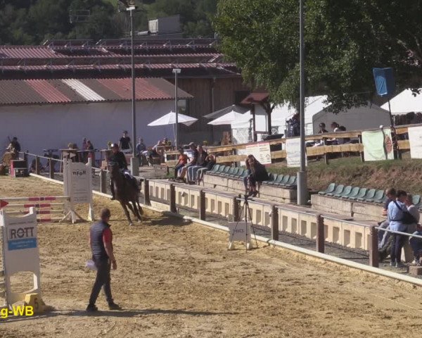 Reitturnier Uder, Reitanlage Kobold 2020