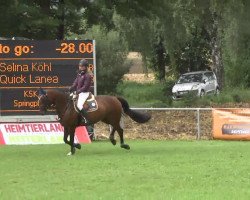 dressage horse Quick Lanea (Württemberger, 2009, from Que Guapo)