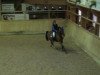 jumper Leonie 4 (German Riding Pony, 2005, from Creston Dundee)