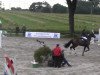 jumper Dorette 193 (KWPN (Royal Dutch Sporthorse), 2008, from Emilion)