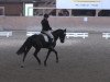 dressage horse Svende 3 (Hanoverian, 2010, from San Amour I)