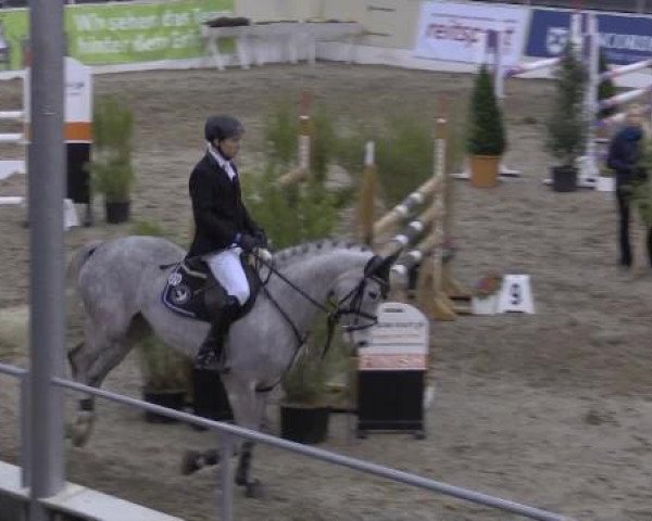 jumper Conveni's Carlotta (Hanoverian, 2008, from Cassus 2)