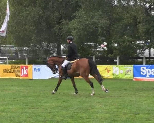 jumper Baloudo (Oldenburg, 2010, from Balou du Rouet)