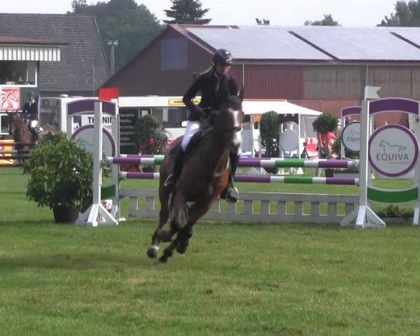 jumper Elmé (KWPN (Royal Dutch Sporthorse),  )